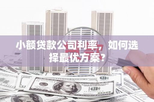南屯小额贷款公司利率，如何选择最优方案？