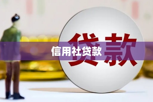 南屯信用社贷款