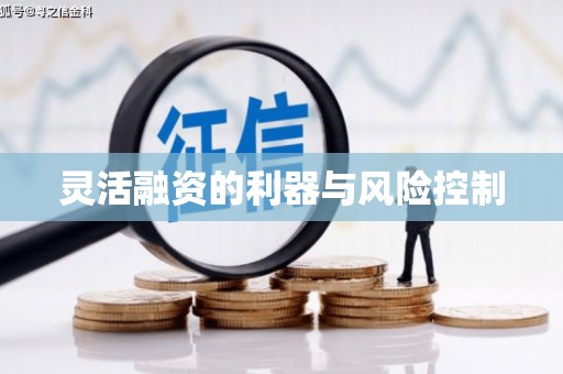 南屯灵活融资的利器与风险控制