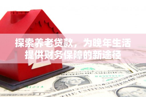 南屯探索养老贷款，为晚年生活提供财务保障的新途径