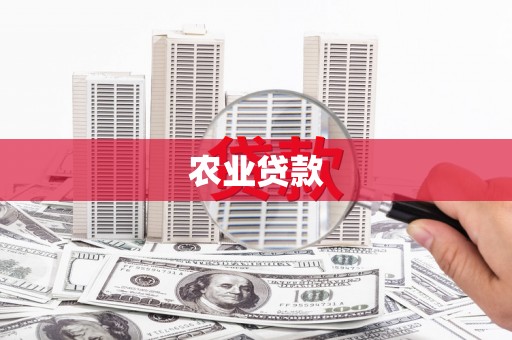 南屯农业贷款