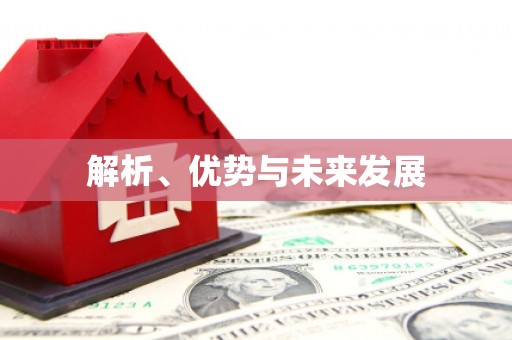 南屯解析、优势与未来发展