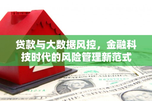 南屯贷款与大数据风控，金融科技时代的风险管理新范式
