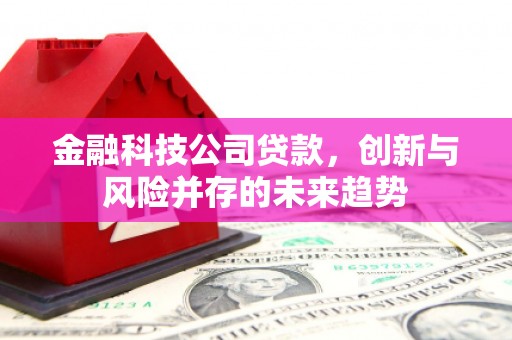 南屯金融科技公司贷款，创新与风险并存的未来趋势