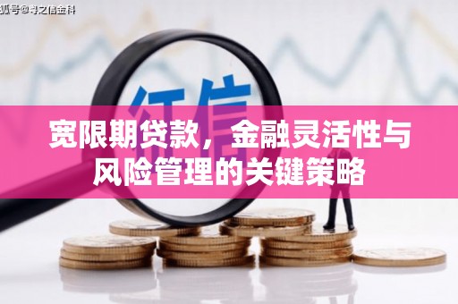 南屯宽限期贷款，金融灵活性与风险管理的关键策略