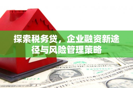 南屯探索税务贷，企业融资新途径与风险管理策略