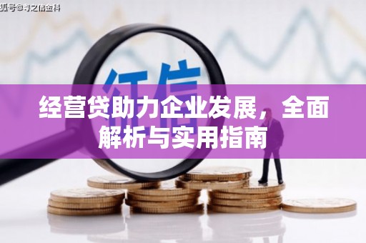 南屯经营贷助力企业发展，全面解析与实用指南