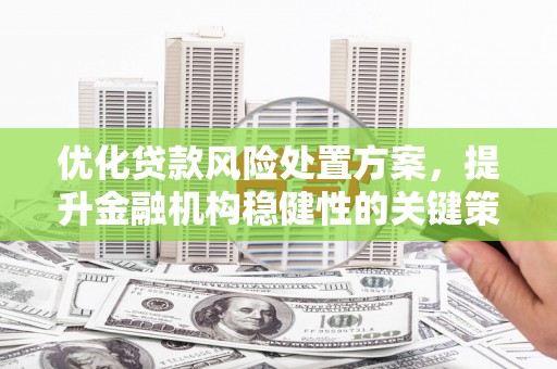 南屯优化贷款风险处置方案，提升金融机构稳健性的关键策略