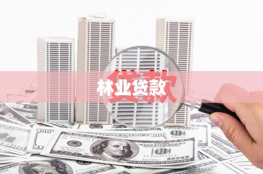 南屯林业贷款