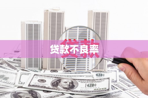 南屯贷款不良率