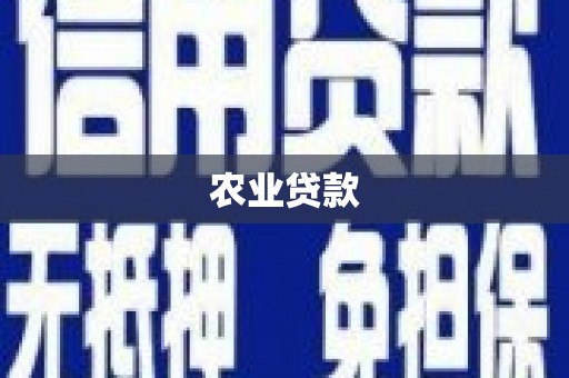 南屯农业贷款