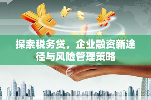 南屯探索税务贷，企业融资新途径与风险管理策略