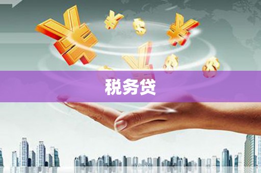 南屯税务贷