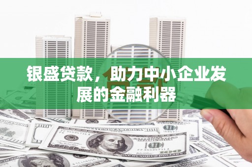 南屯银盛贷款，助力中小企业发展的金融利器