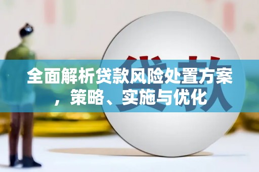 南屯全面解析贷款风险处置方案，策略、实施与优化
