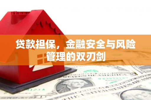 南屯贷款担保，金融安全与风险管理的双刃剑
