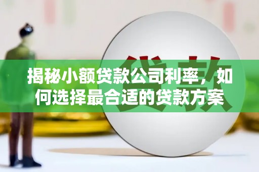 南屯揭秘小额贷款公司利率，如何选择最合适的贷款方案