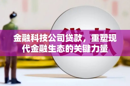 南屯金融科技公司贷款，重塑现代金融生态的关键力量