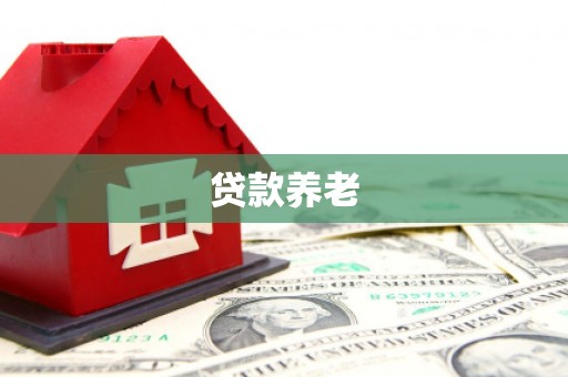 南屯贷款养老