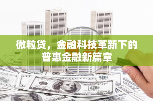 南屯微粒贷，金融科技革新下的普惠金融新篇章