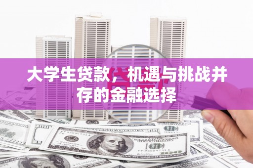 南屯大学生贷款，机遇与挑战并存的金融选择