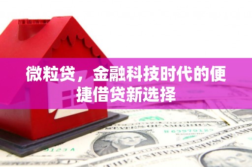 南屯微粒贷，金融科技时代的便捷借贷新选择