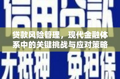 南屯贷款风险管理，现代金融体系中的关键挑战与应对策略