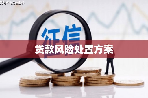 南屯贷款风险处置方案