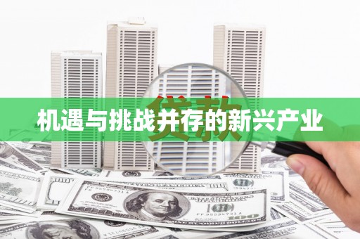 南屯机遇与挑战并存的新兴产业