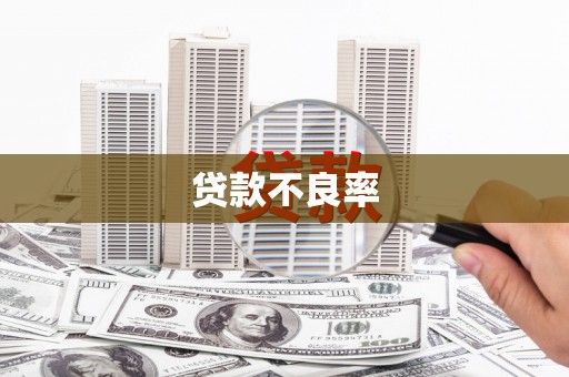 南屯贷款不良率