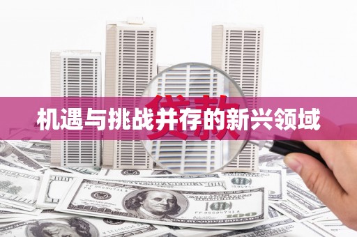 南屯机遇与挑战并存的新兴领域