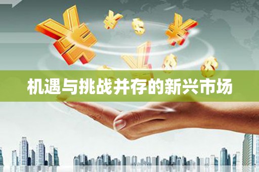 南屯机遇与挑战并存的新兴市场