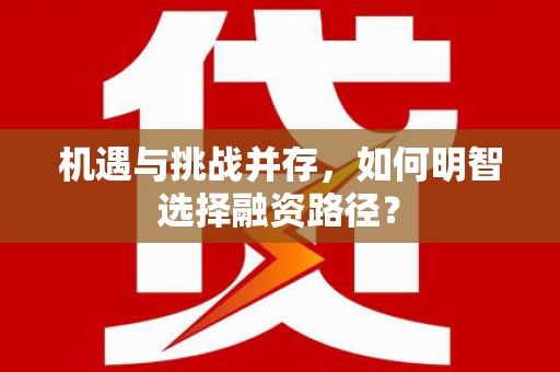 南屯机遇与挑战并存，如何明智选择融资路径？