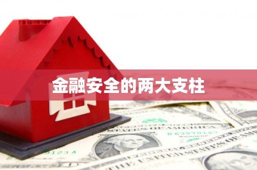 南屯金融安全的两大支柱