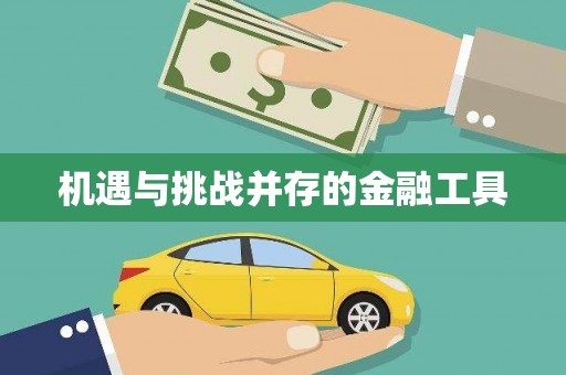 南屯机遇与挑战并存的金融工具
