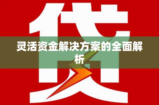 南屯灵活资金解决方案的全面解析