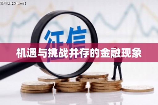 南屯机遇与挑战并存的金融现象