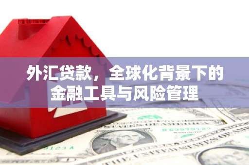 南屯外汇贷款，全球化背景下的金融工具与风险管理