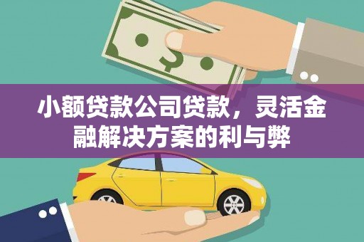 南屯小额贷款公司贷款，灵活金融解决方案的利与弊