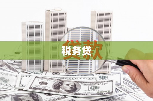 南屯税务贷